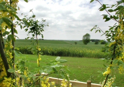 Nene Valley Cottages